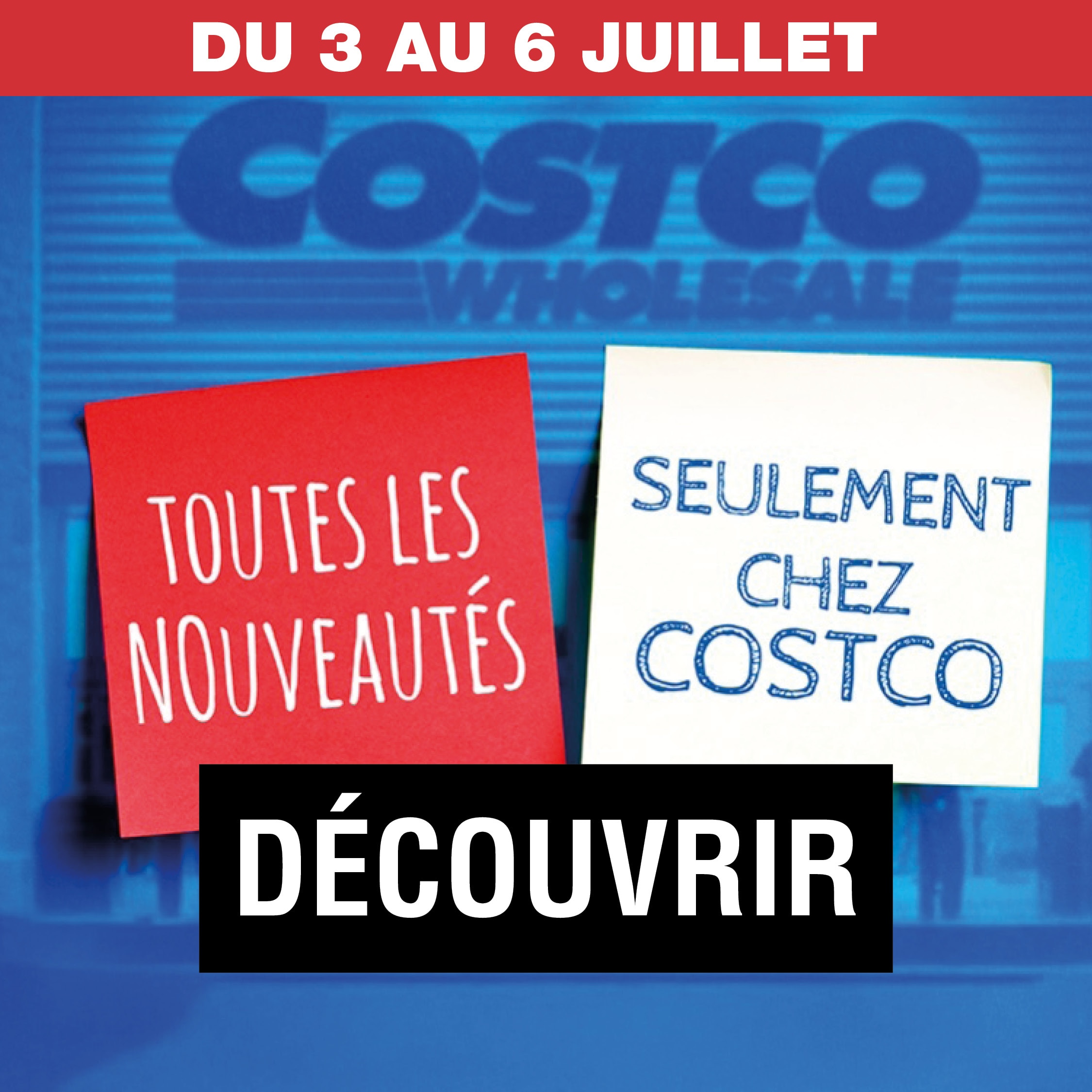 Catalogue nouveautes