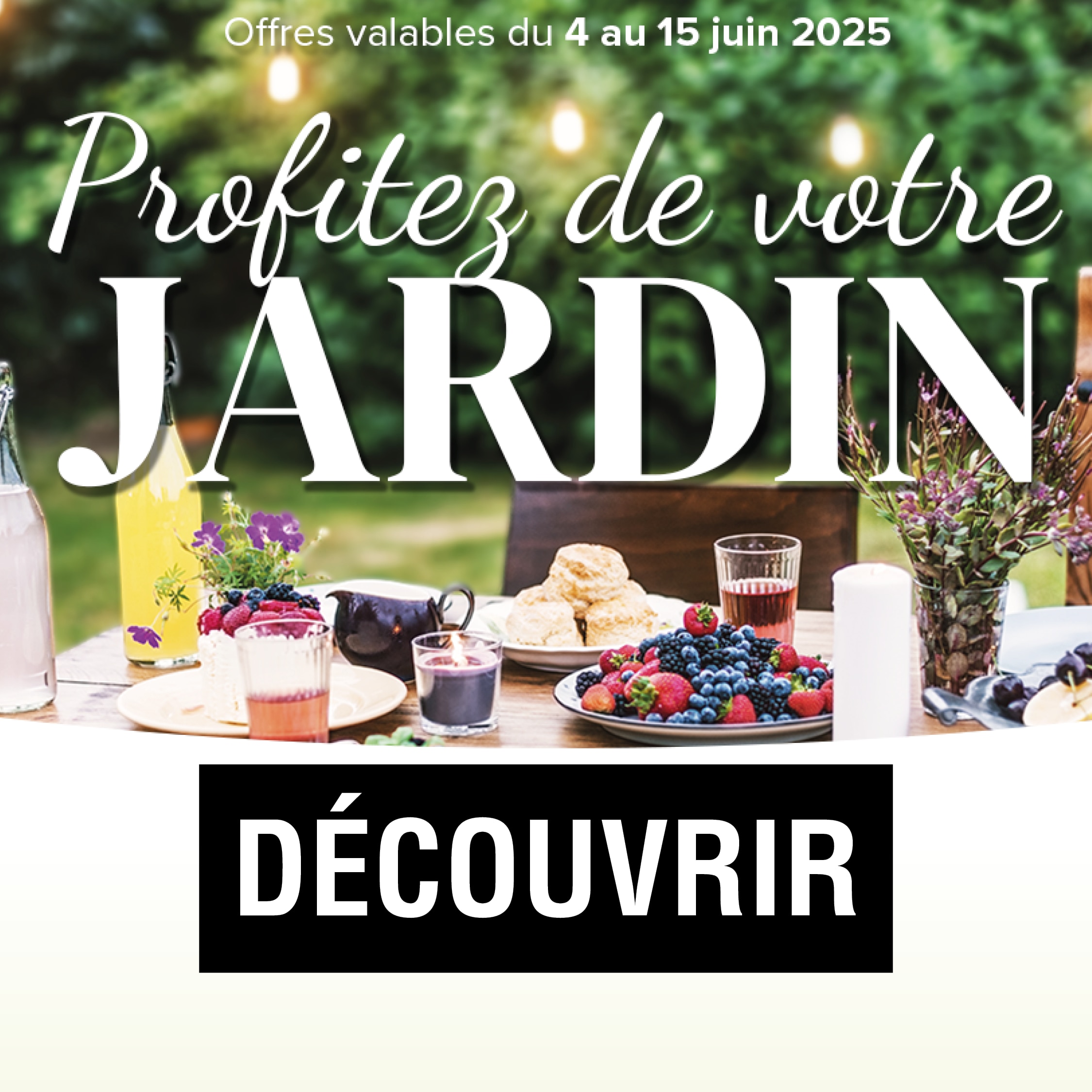 Catalogue offres du moment