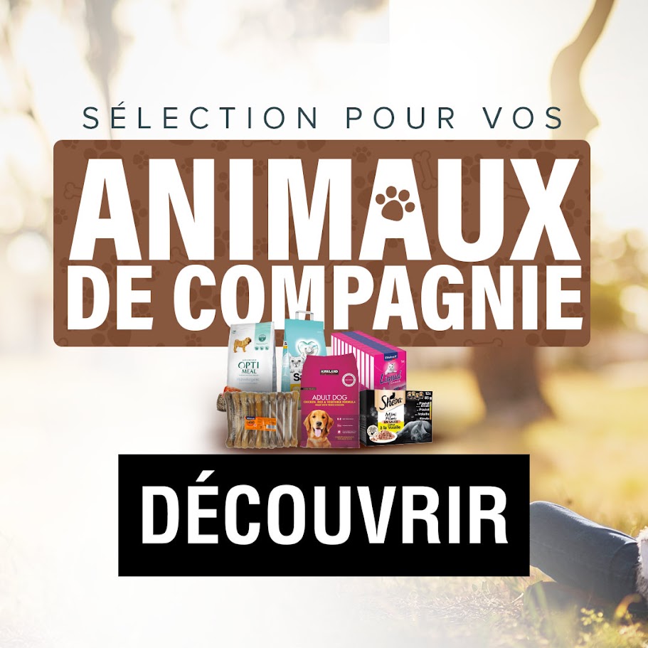 Catalogue animaux compagnie
